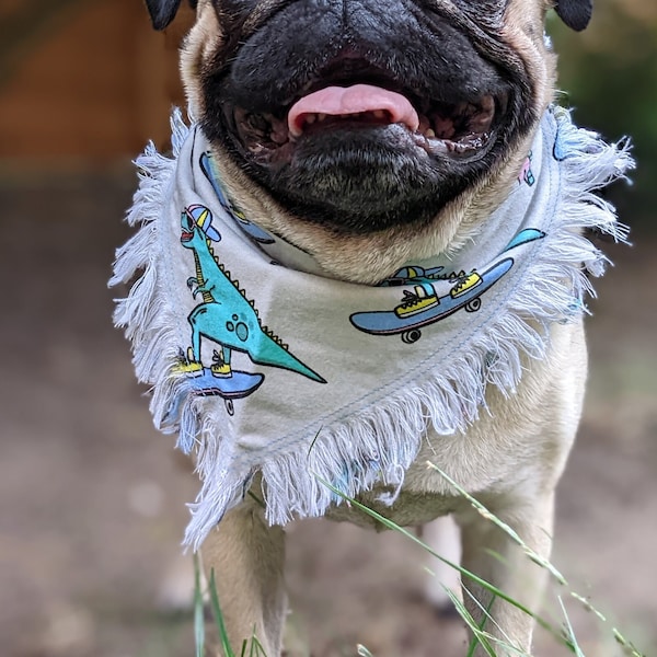 Radical T-Rex Dog Bandana | Dino | Skateboard | 90's | Slide On | Flannel Fringe | Tie On Bandanna | Gift for Dog Lover | Accessory | Cool