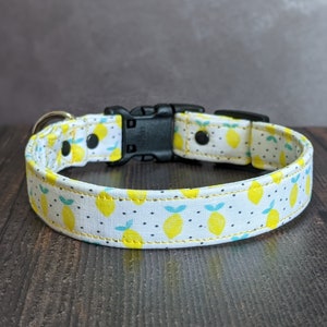 Lemon Dog Collar | Yellow | Polka Dot Dog Collar | Gift for Dog Lover | Summer Citrus | Adjustable | Martingale Option | Fabric | Fruit