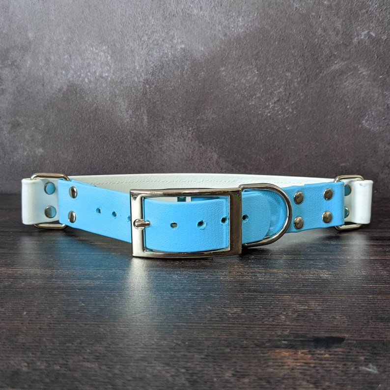 Limited Slip Collar Dog Lover Metal Hardware Glitter Adjustable Sky Blue /& White Glitter with Color Specks Biothane Dog Collar