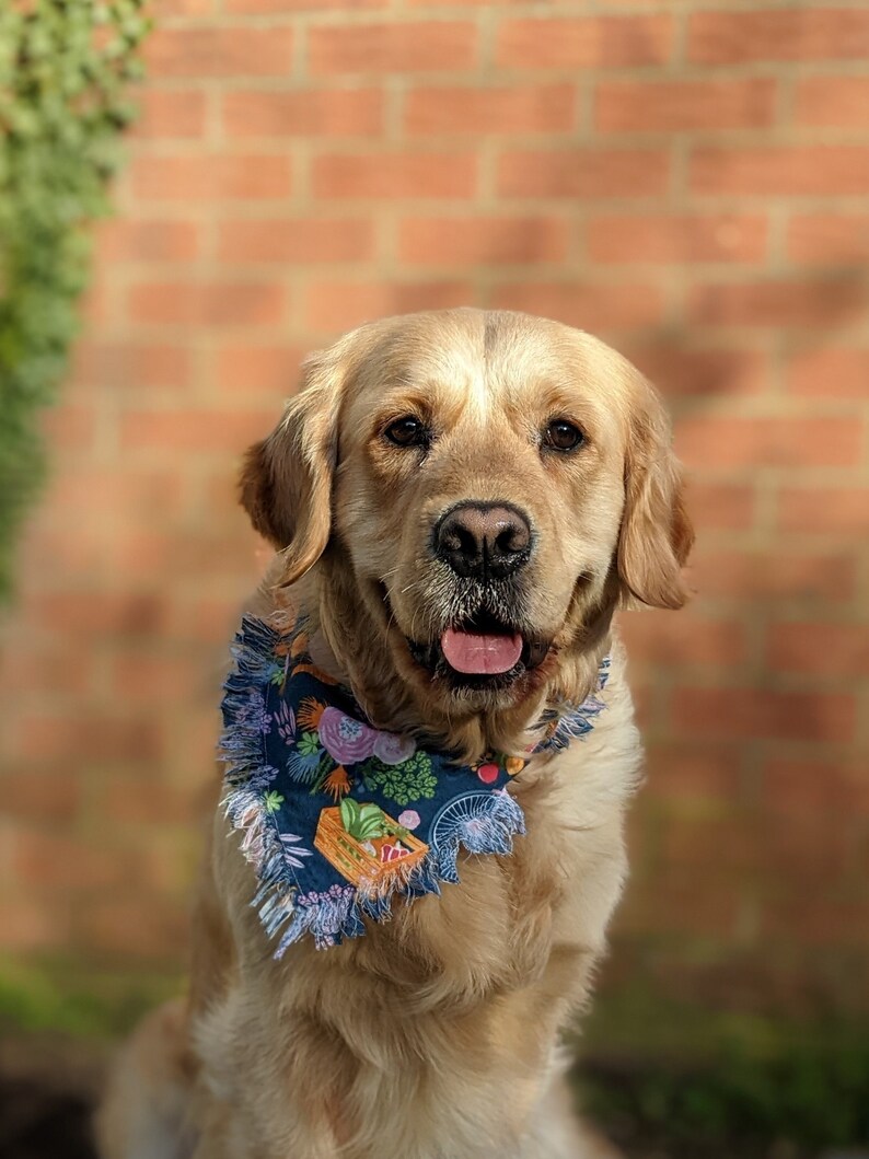 Farmers Market Dog Bandana Fringe Bicycle Vegetable Flower Slide On Bandana Tie On Bandanna Gift for Dog Lover Dog Accessory 画像 1