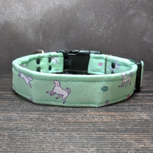 Pouncing Pup Dog Collar | Adjustable | Martingale Collar | Fabric Collar | Green Dog Collar | Gift for Dog Lover | Teal Dog Collar | Flowers