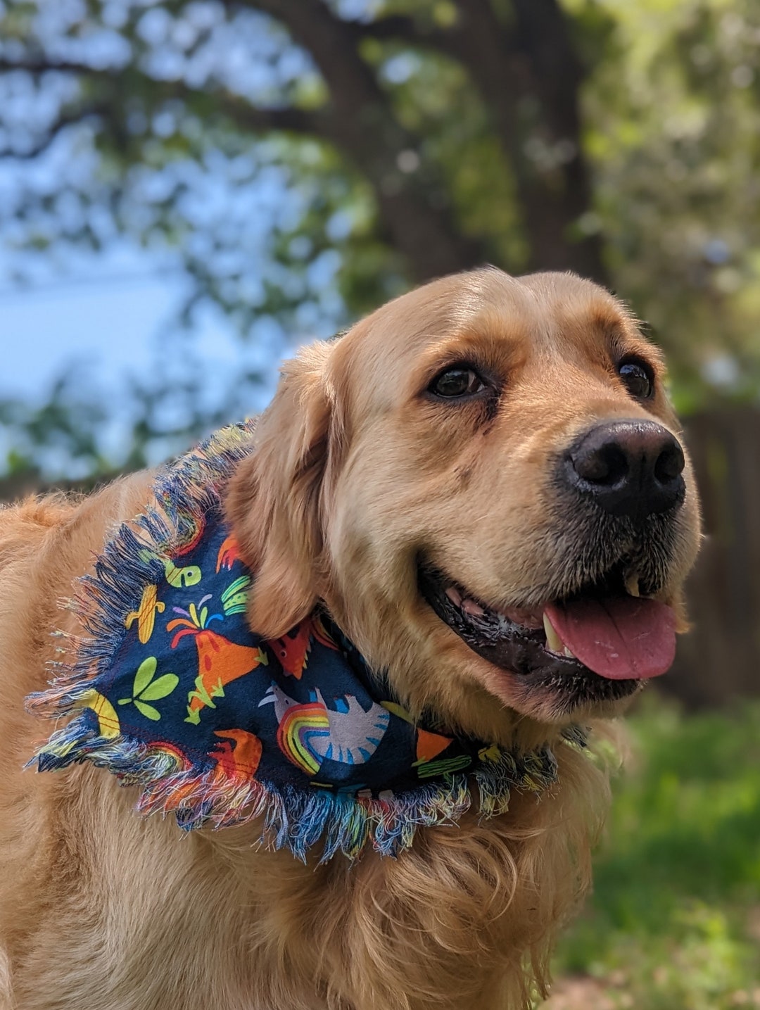Rainbow Dino Dog Bandana Fringe Slide on Bandanna Dinosaur Bandana