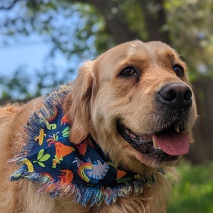 Rainbow Dino Dog Bandana | Fringe | Slide On Bandanna | Dinosaur Bandana | Jurassic | Gift for Dog Lover | Archeology | Dog Accessory | USA