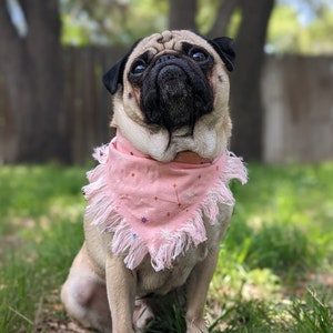 Pink Constellation Dog Bandana | Fringe | Slide On Bandanna | Star Bandana | Astrology | Gift for Dog Lover | Space | Dog Accessory | USA