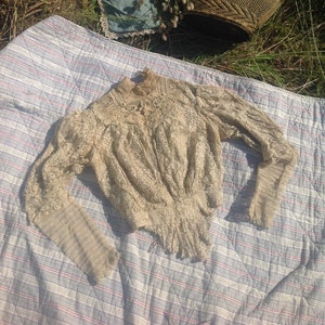 Antique Lace Bodice: Irish Crochet, Bobbin, Maltese, Valenciennes Lace - Belle Epoque