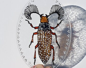 Feather-horned Beetle Suncatcher / Painted Glass / Window Decoration / Glass Ornament