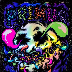 LES CLAYPOOL rare signed gig poster by artist Adam Turkel Florida St Petersburg Florida The State Theatre PRIMUS Oysterhead Lennon Delirium
