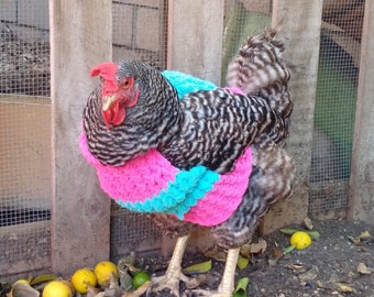 Chicken Sweater - Etsy