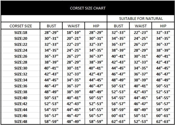 Grey Silver Silk Corset Black Leather Belt Gothic Burlesque Etsy