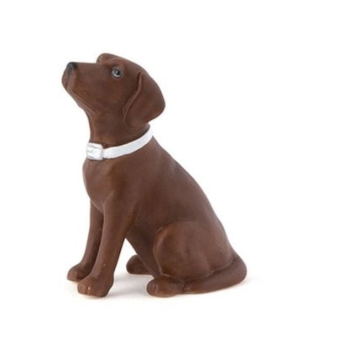 small chocolate lab