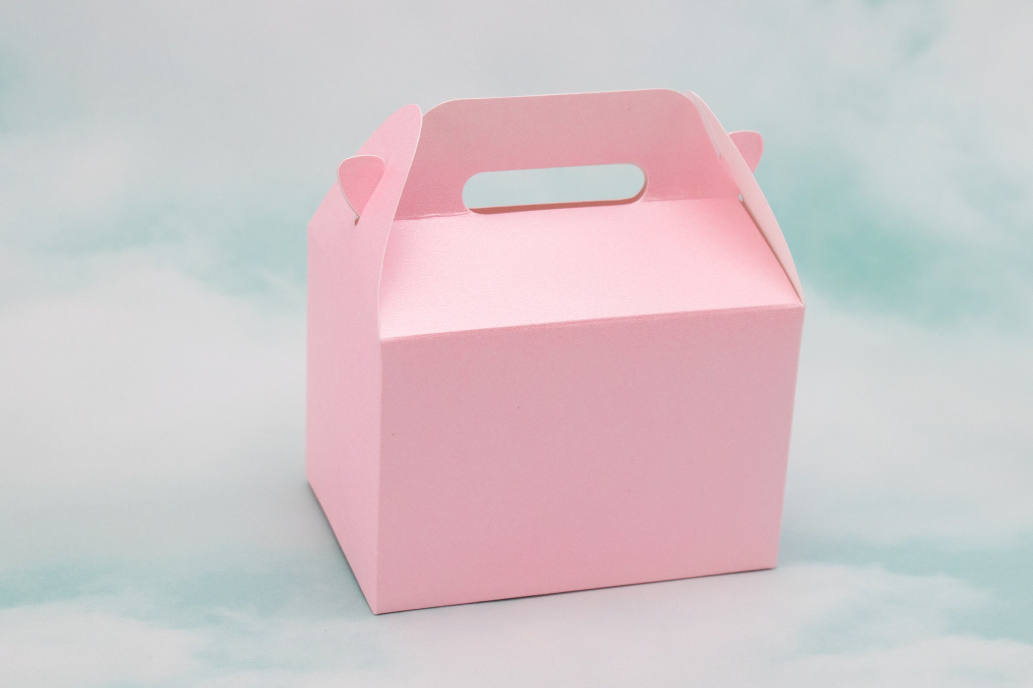 Gable Favor Boxes Set of 12 Pastel Wedding Bridal Shower Etsy