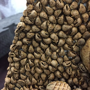 Puede incluir: Primer plano de una criatura alienígena marrón y blanca con una superficie texturizada. La criatura está rodeada de cientos de cabezas alienígenas más pequeñas, marrones y texturizadas.