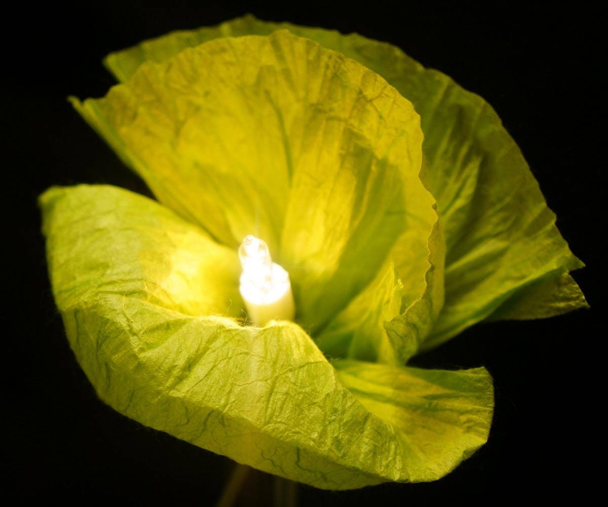 Guirlande Lumineuse 20 Coquelicots en Papier de Soie - Vert