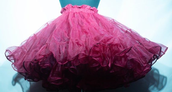 Vintage Petticoat Circle Skirt Slip Square Dance … - image 2