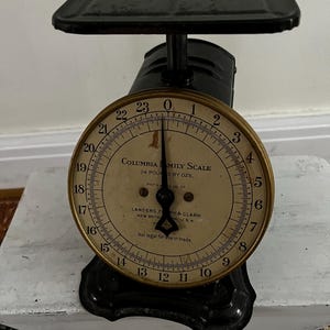 Antique Columbia Family 24 Pound Kitchen Scale - Etsy