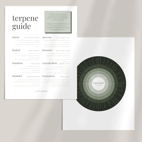 guía de terpenos // complemento de diario digital // imprimible