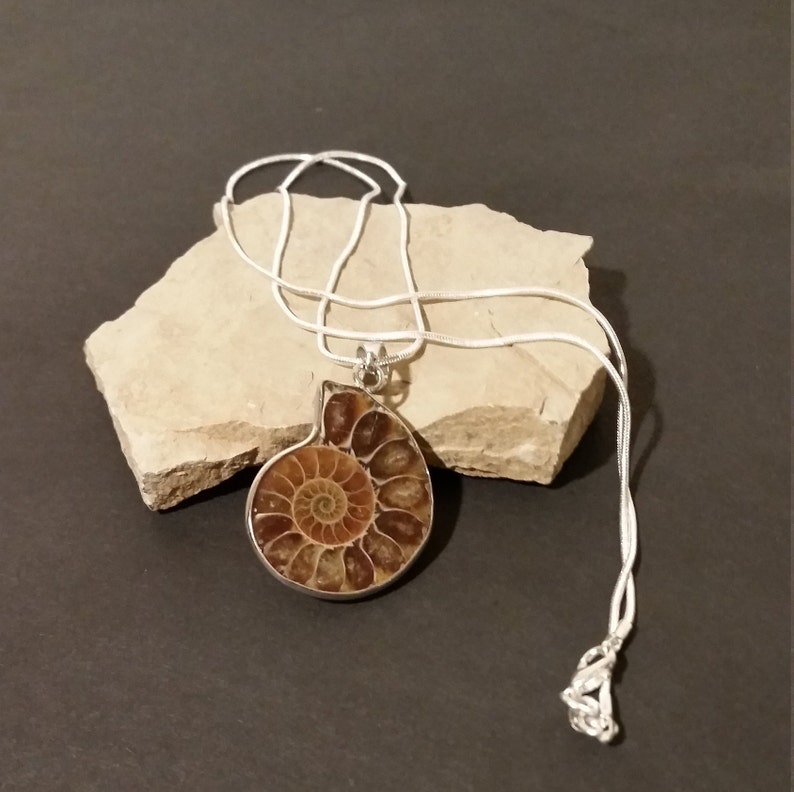 Seashell pendant in silver chain Seashell necklace long silver chain Seashell pendant Gift for her