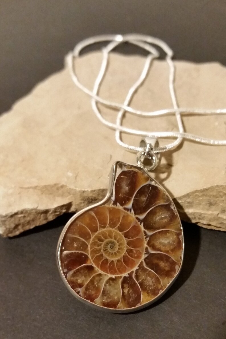 Seashell pendant in silver chain Seashell necklace long silver chain Seashell pendant Gift for her