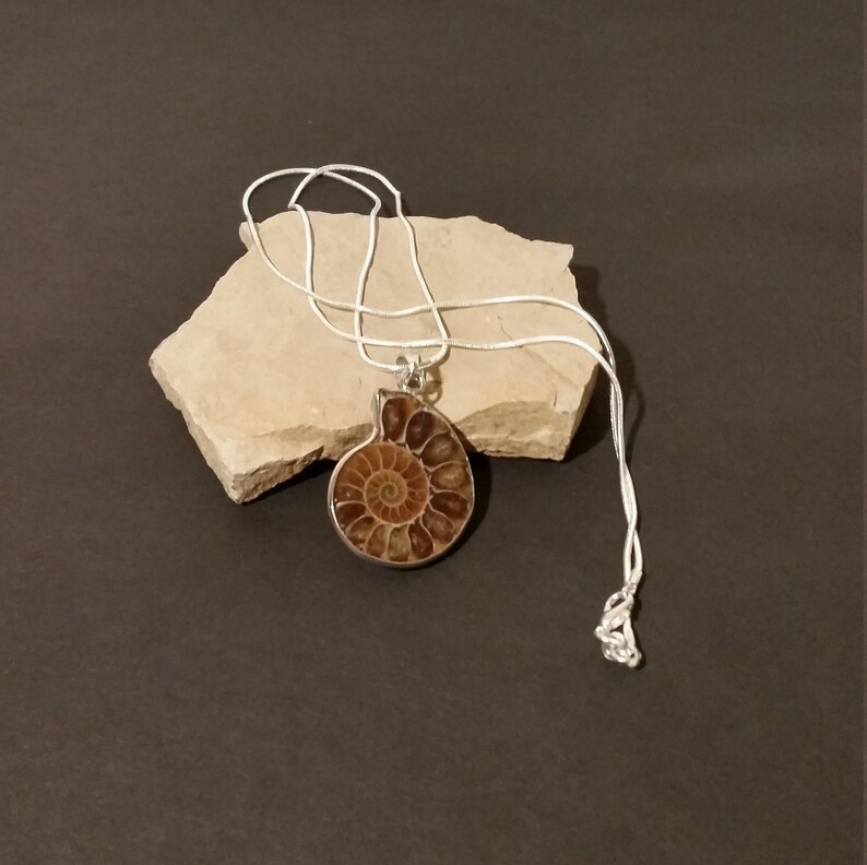 Seashell pendant in silver chain Seashell necklace long silver chain Seashell pendant Gift for her
