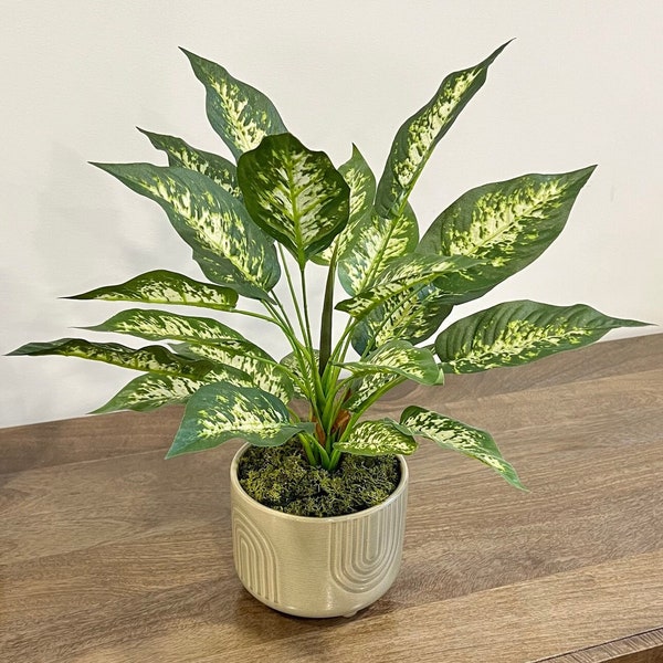 Real Touch Dieffenbachia Plante / Faux de luxe, Plante artificielle_54 cm (H) Faux Dieffenbachia Plante dans une jardinière en céramique à pieds en bois