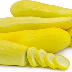 Heirloom Straight Neck Early Squash - ready in only 55 days!