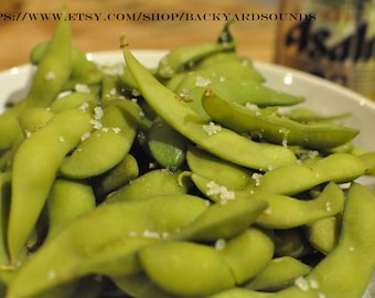 Organically Grown Soybean Seeds: Edamame, Tofu, Soy Sauce - 1 lb