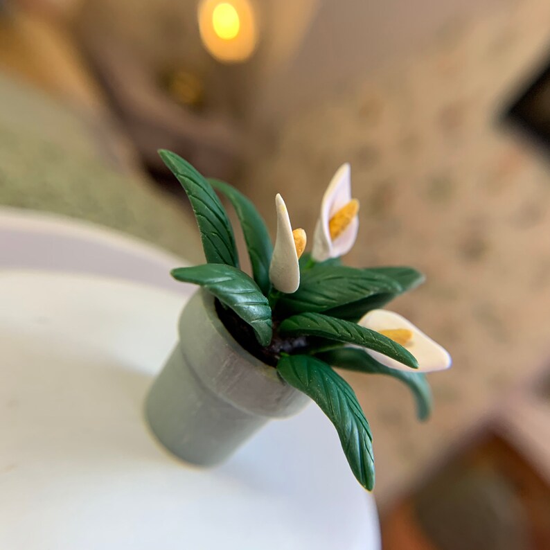 Miniature Peace Lily Miniature Potted Plant Miniature Etsy