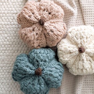 Op de afbeelding: Drie gehaakte pompoenen in zachte pasteltinten: &eacute;&eacute;n lichtroze, &eacute;&eacute;n cr&egrave;me en &eacute;&eacute;n stoffig blauwe. Elke pompoen heeft een ronde, getextureerde vorm met een kleine, donkerbruine gehaakte steel in het midden, met gedetailleerd haakwerk.