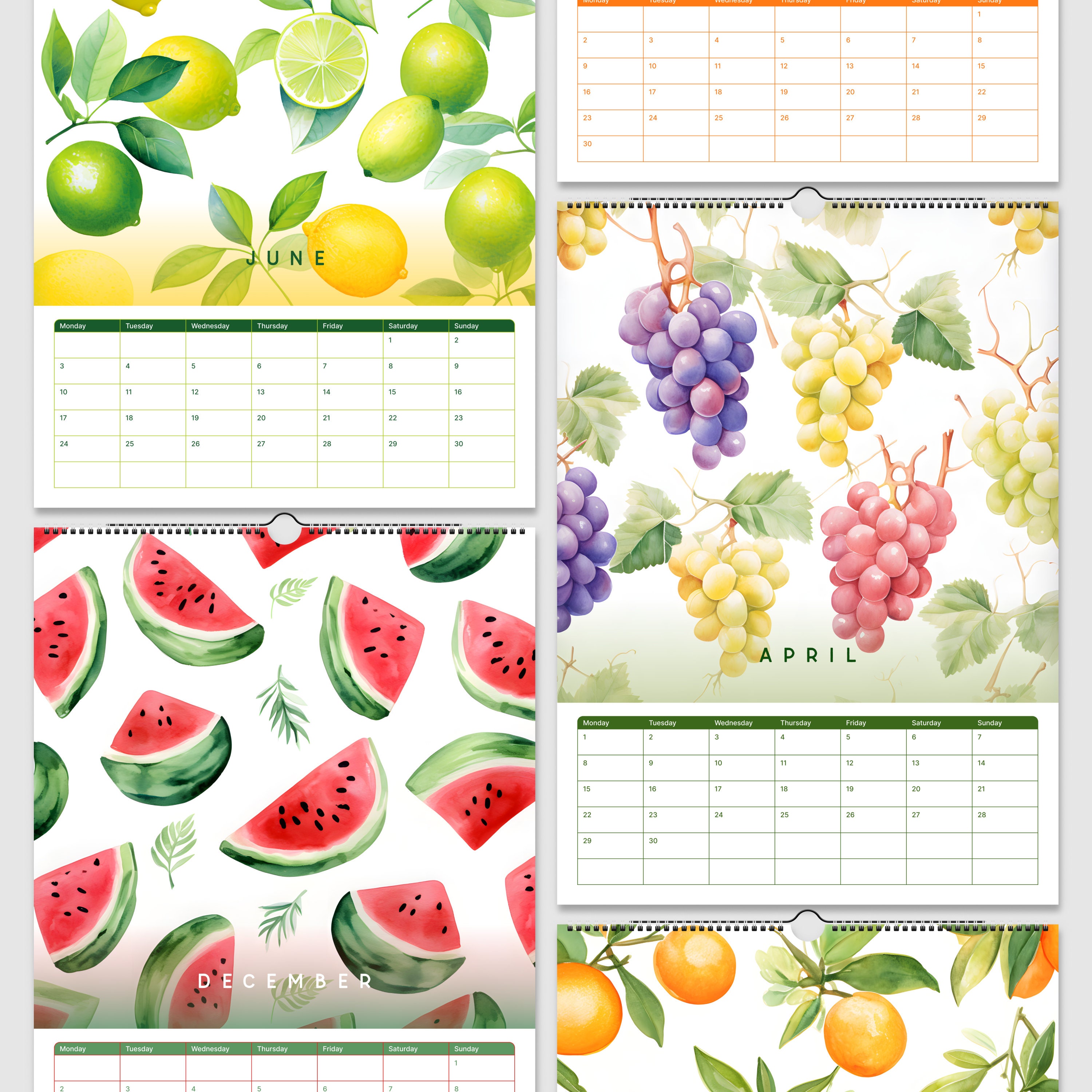 Art of Watercolour Fruit 2024 Wall Calendars Etsy