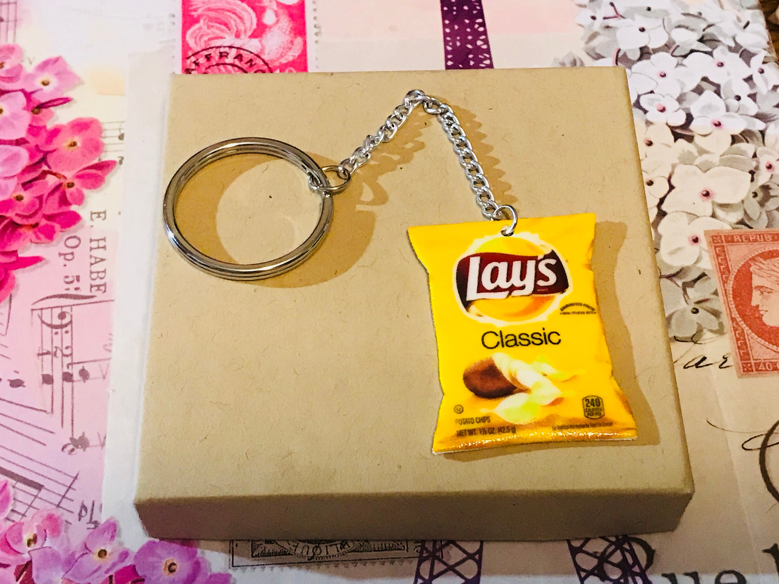 Junk Food Keychainoriginal Potato Chips Keychain Original Etsy