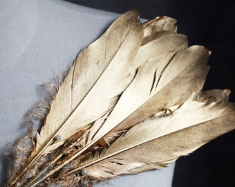 May include: A bunch of gold feathers with a soft, feathery texture. The feathers are arranged in a fan shape, with the tips of the feathers pointing upwards.