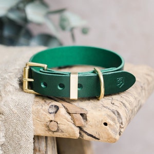 Green Leather Dog Collar, Engraved Dog Collar with Brass hardware, Personalized Dog Gift image 1