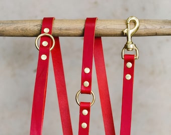 Red Long Leather Dog Leash, 4ft 5ft 6ft Lead for Dog & Puppy