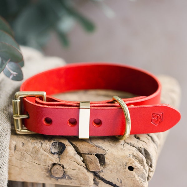 Leather Dog Collars Etsy UK