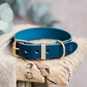 Blue Leather Dog Collar, Custom Engraved Puppy Collar with Brass hardware, Personalised Dog Gifts image 1