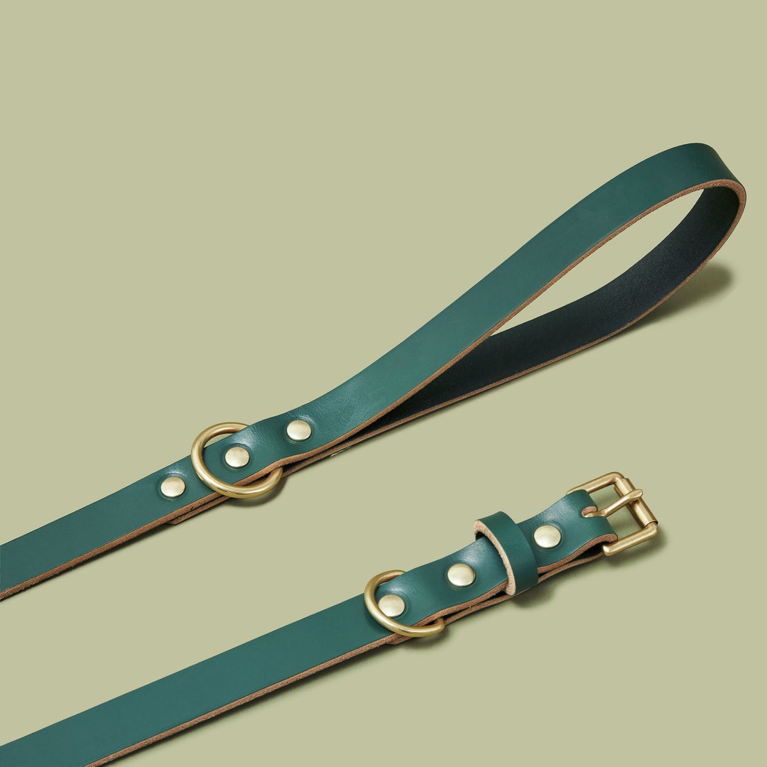 Green Leather Dog Collar and Leash, Personalized Custom Puppy Collar