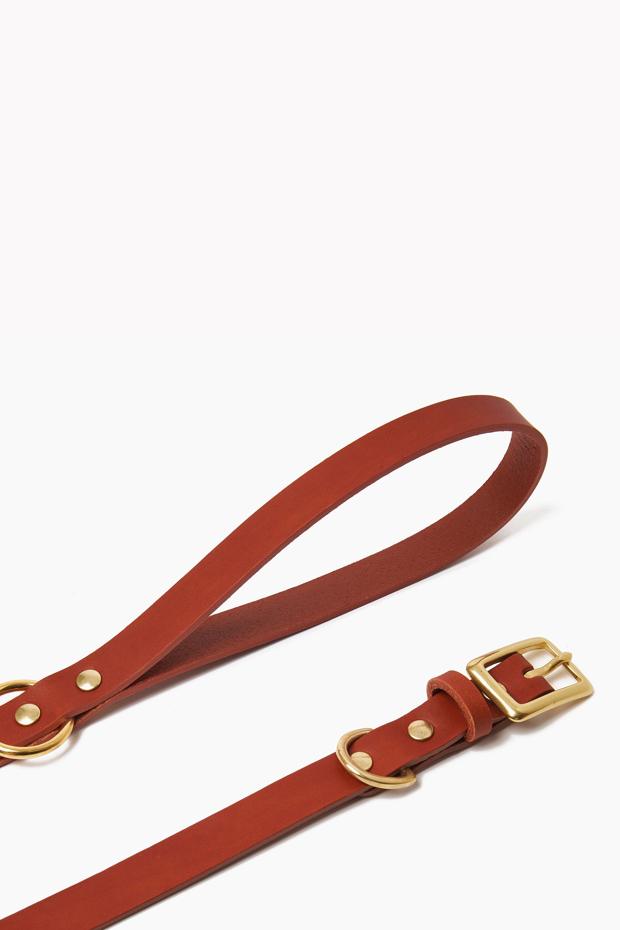 personalized leather dog leash