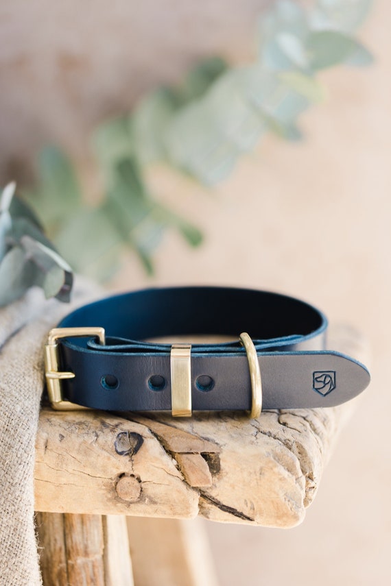 blue leather collar