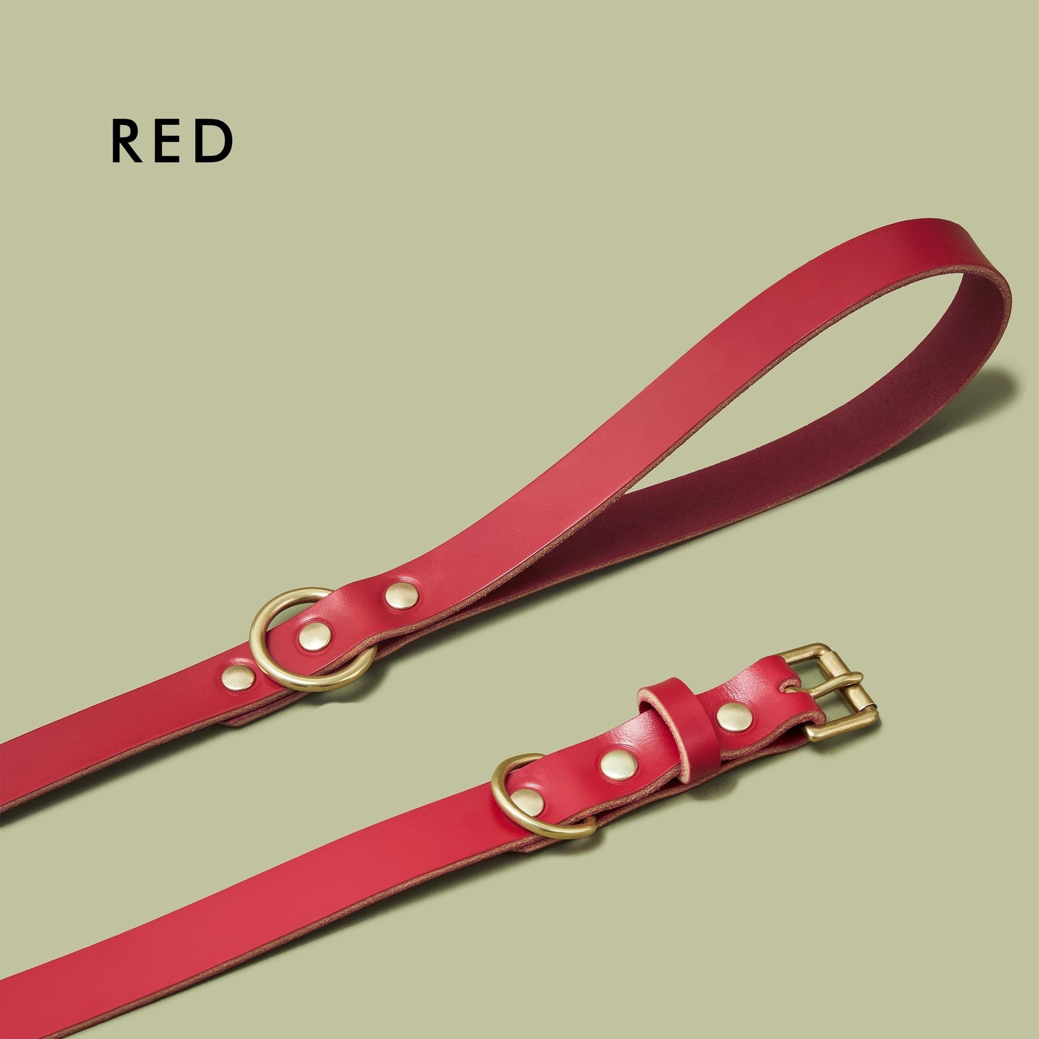 Ox Red Leather Personalized Dog Collar and Lead Gift Set Etsy UK