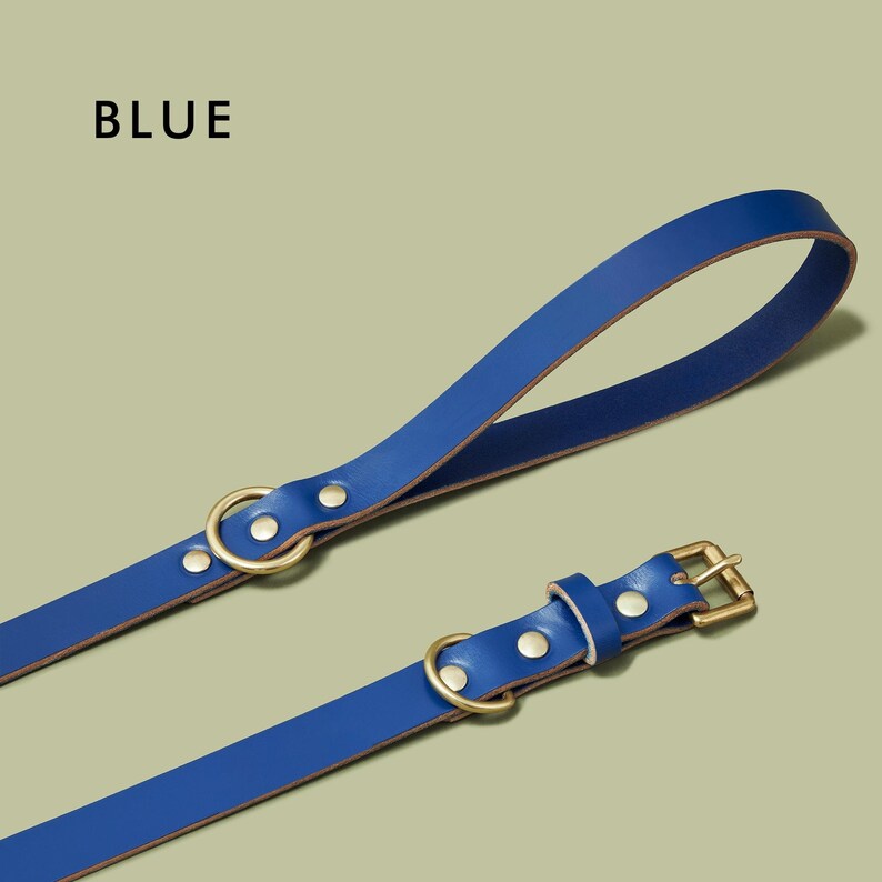 Green Leather Dog Collar and Leash Personalized Custom Puppy Etsy