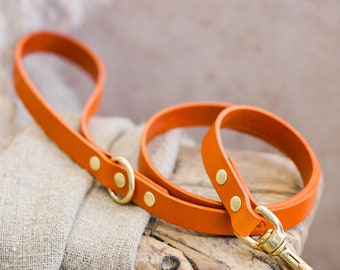 Orange Leather Dog Leash, Puppy Dog Lead for Small and Large Dogs