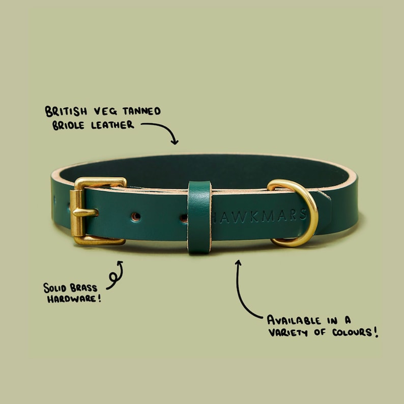 Green Leather Dog Collar and Leash Personalized Custom Puppy Etsy