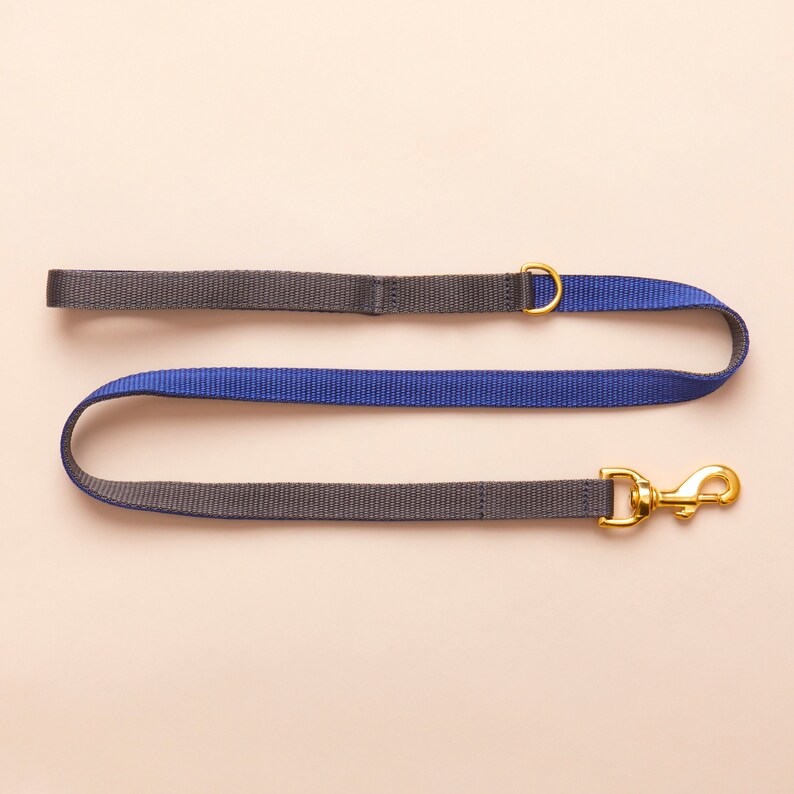 Blue Dog Leash Boy Dog Leash for Small and Large Dogs 4ft Etsy