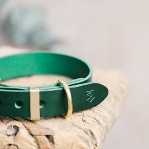 Green Leather Dog Collar, Engraved Dog Collar with Brass hardware, Personalized Dog Gift image 5