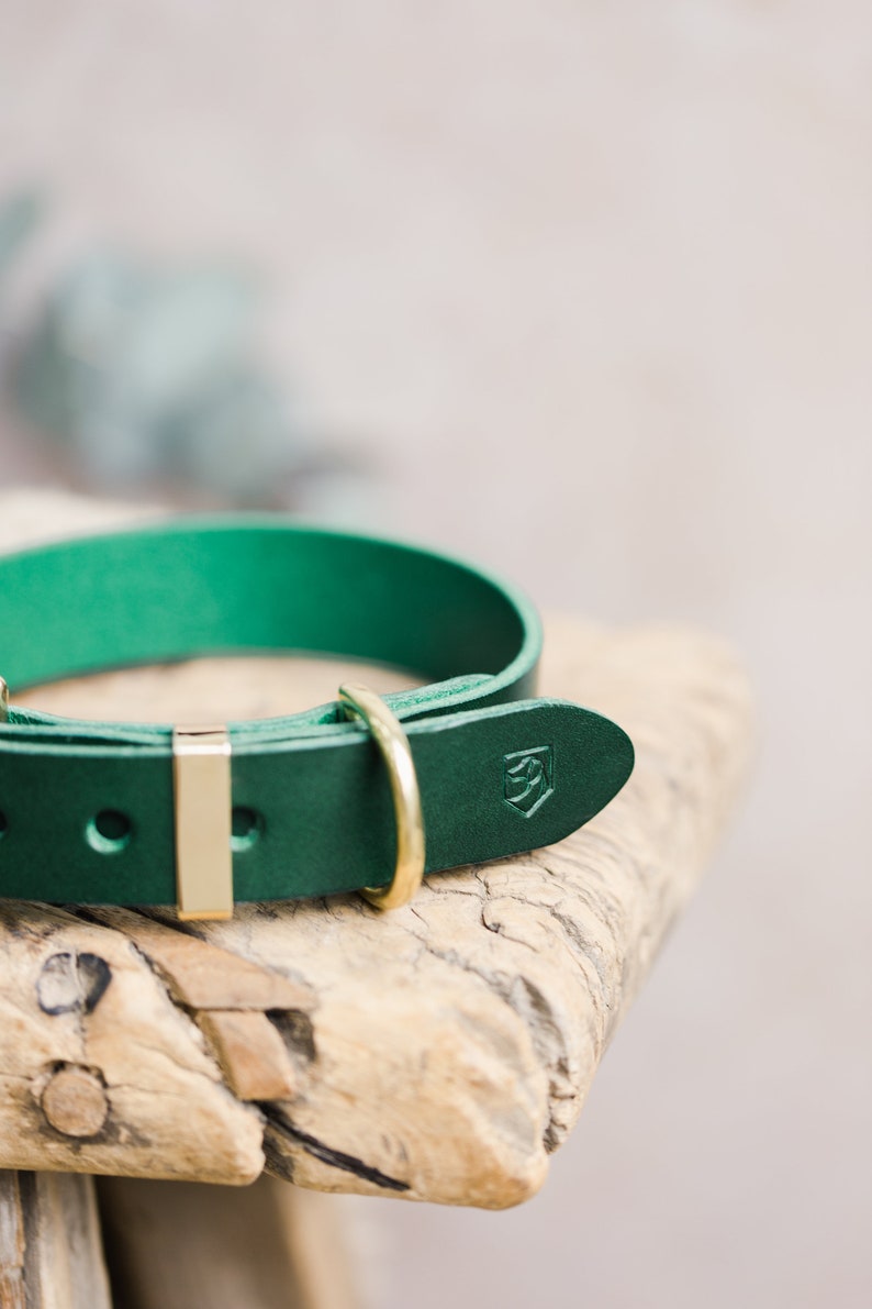 Green Leather Dog Collar, Engraved Dog Collar with Brass hardware, Personalized Dog Gift image 5