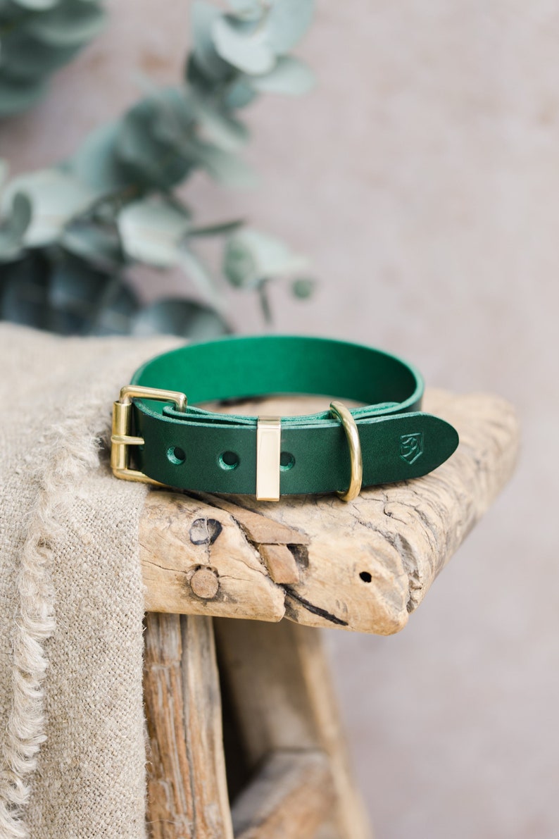 Green Leather Dog Collar, Engraved Dog Collar with Brass hardware, Personalized Dog Gift 