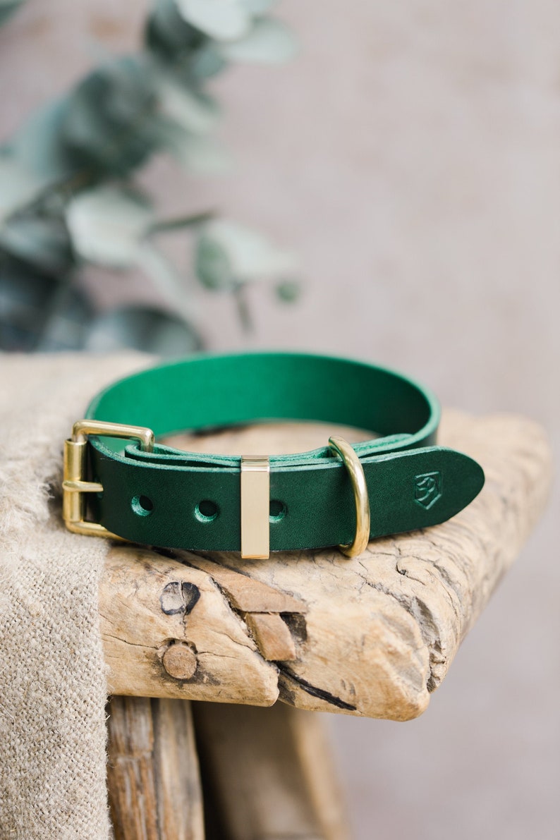 Dark Green Leather Dog Collar Engraved Dog Collar with Brass Etsy
