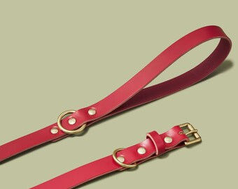 Red leather dog collar and lead gift set for puppy, small and large dogs