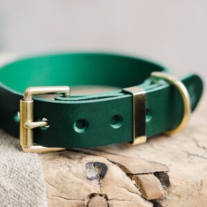 Green Leather Dog Collar, Engraved Dog Collar with Brass hardware, Personalized Dog Gift image 6