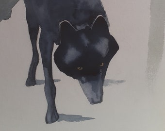 Louvard à l'aquarelle